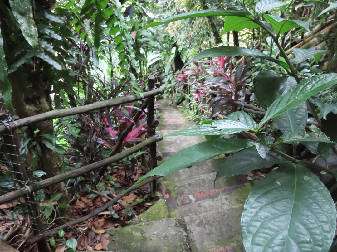 Saloma Villagestay主图