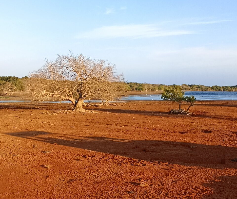 Aaryan Cars-科伦坡必去景点