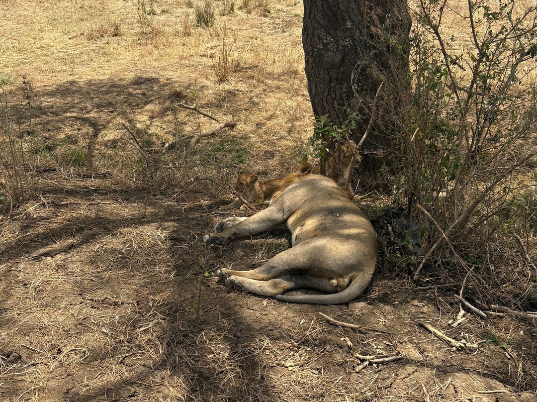 Travel with Deo-Mloka必去景点