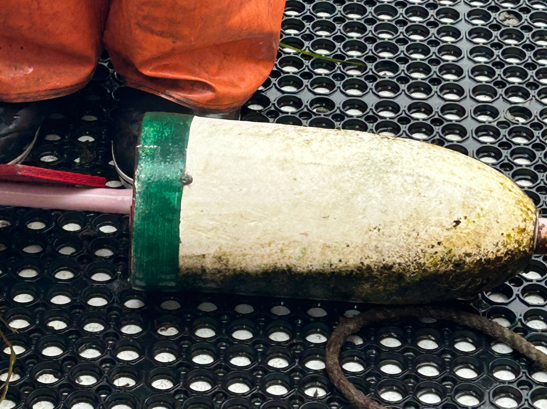 Lucky Catch Cruises-波特兰必去景点