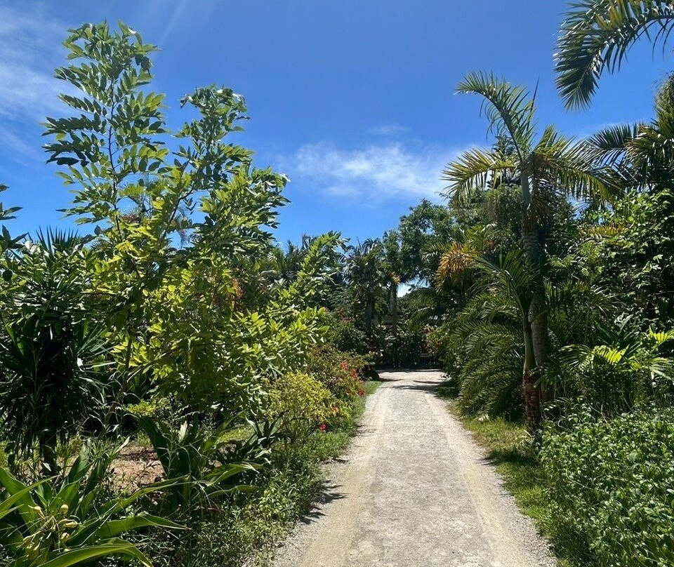 Manta no Hama-竹富町由布岛必去景点