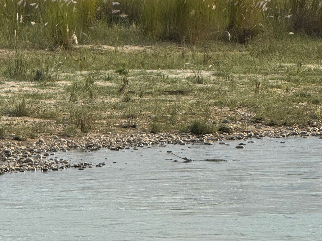 独特野生度假村主图