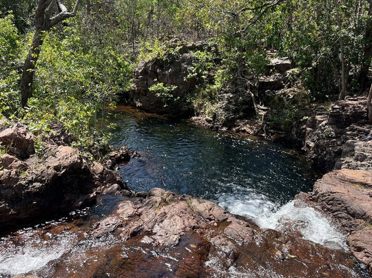 Venture North Safaris-达尔文市必去景点