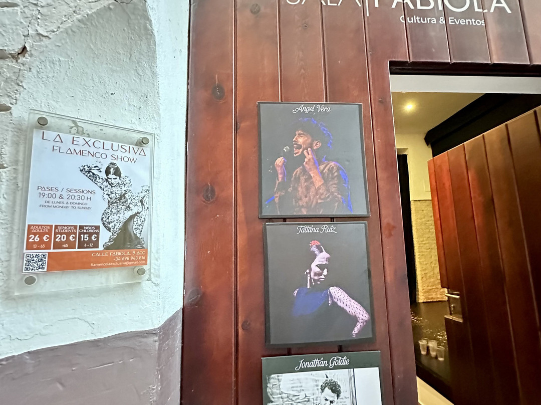 Tablao Flamenco La Exclusiva-塞维利亚必去景点