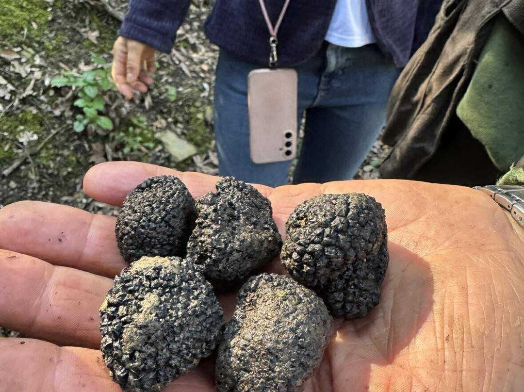 Villa La Ripa-阿雷佐必去景点