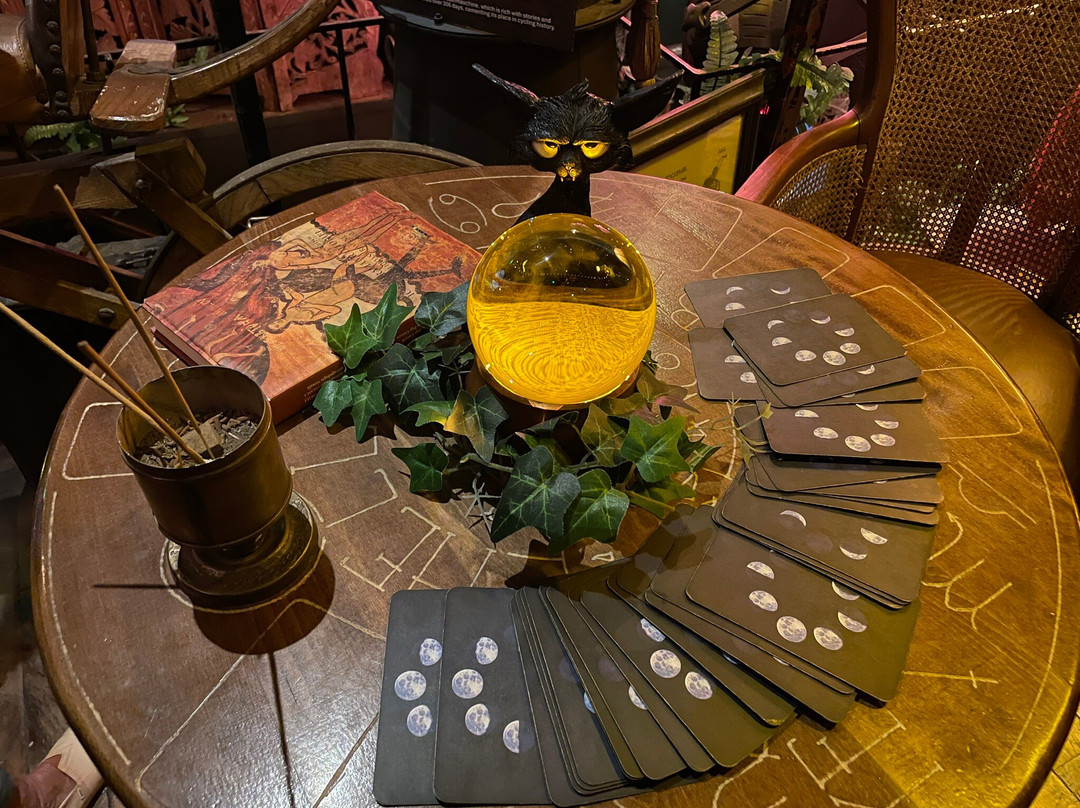 Steampunk Transylvania-克卢日-纳波卡必去景点