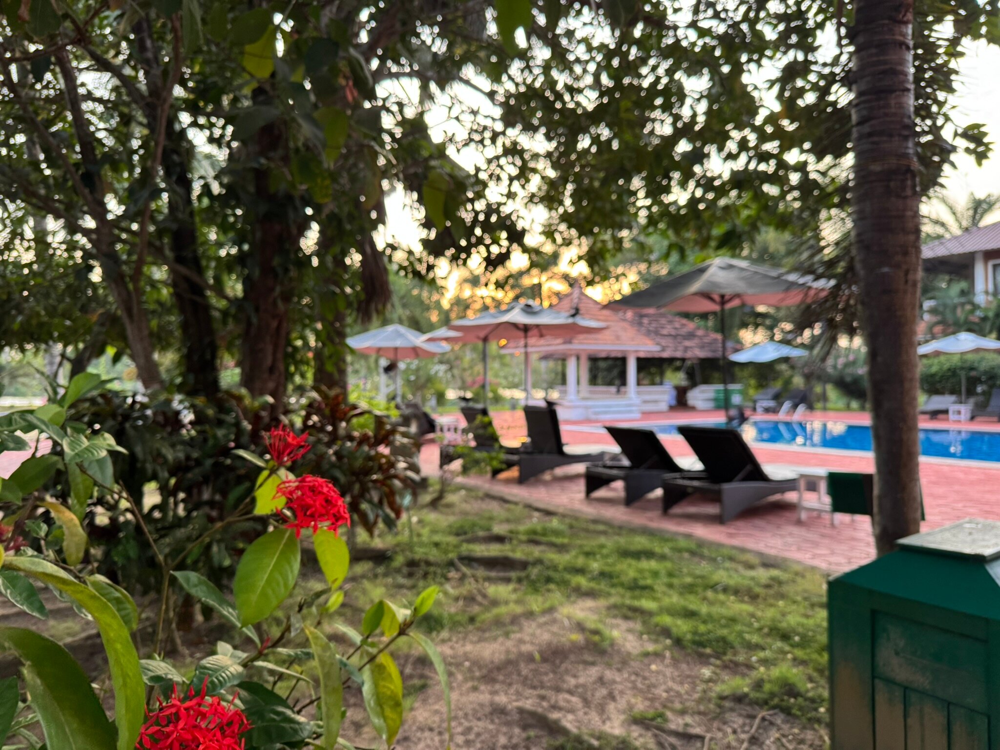 Isola Di Cocco-泳池