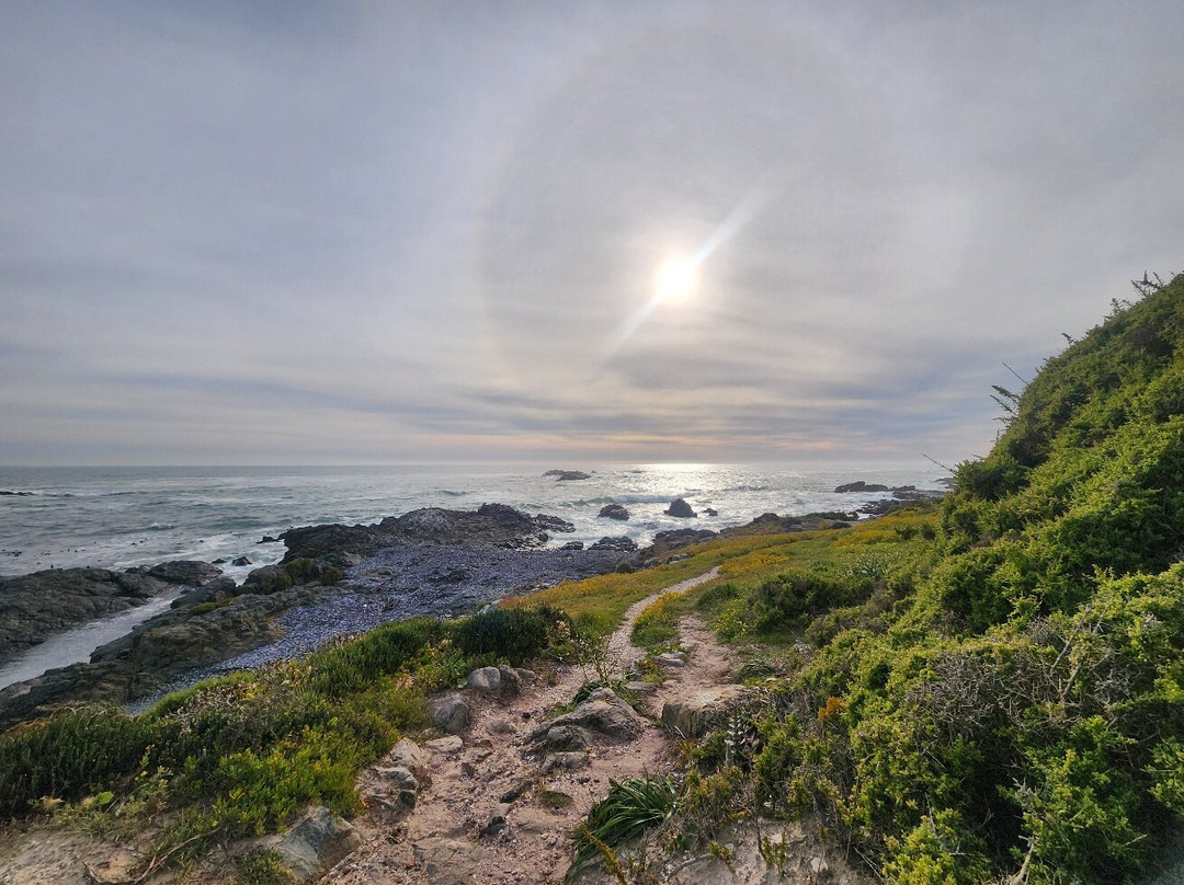 雷文斯-埃森住宿加早餐酒店主图