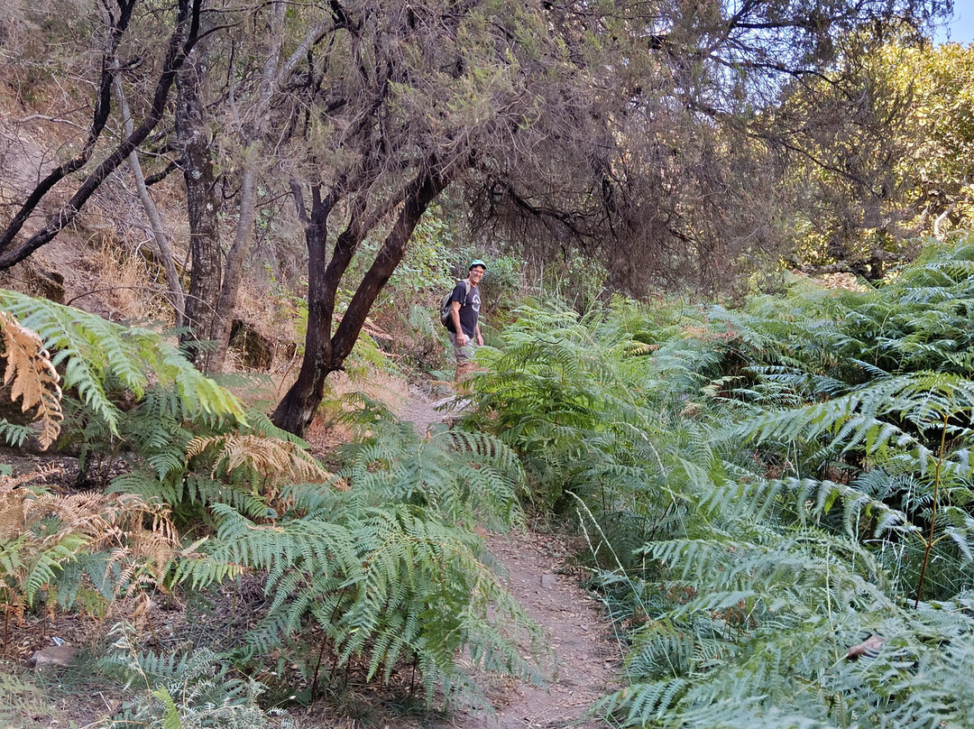 Hotel Balneario de Fuencaliente主图
