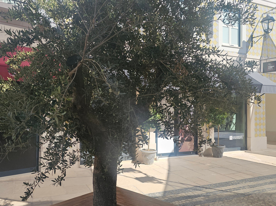 Designer Outlet Algarve-Almancil必去景点