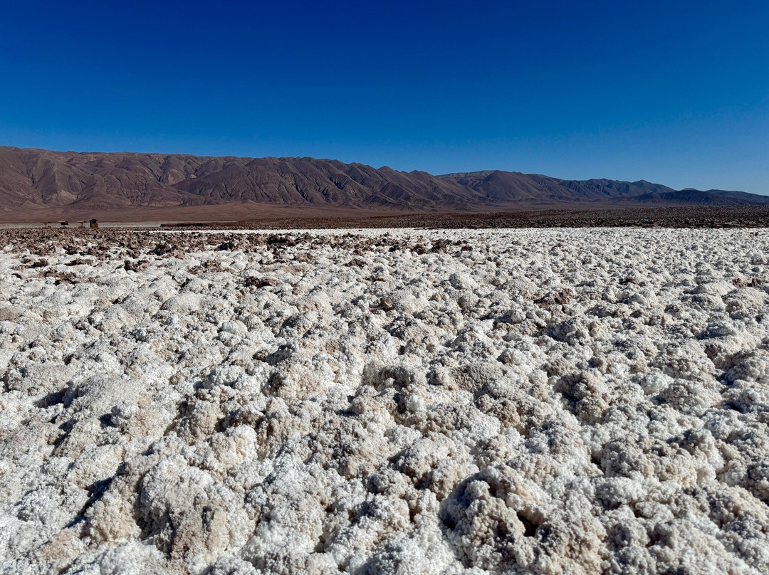 Lagunas Baltinache-圣佩德罗-德阿塔卡马必去景点