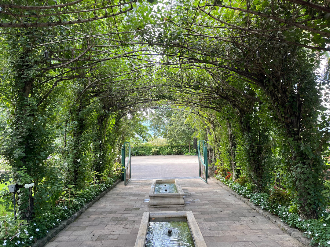 Caymus Vineyards-拉瑟福德必去景点