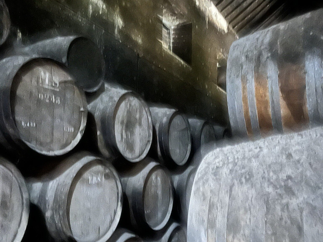 José Maria de Fonseca-Azeitao必去景点