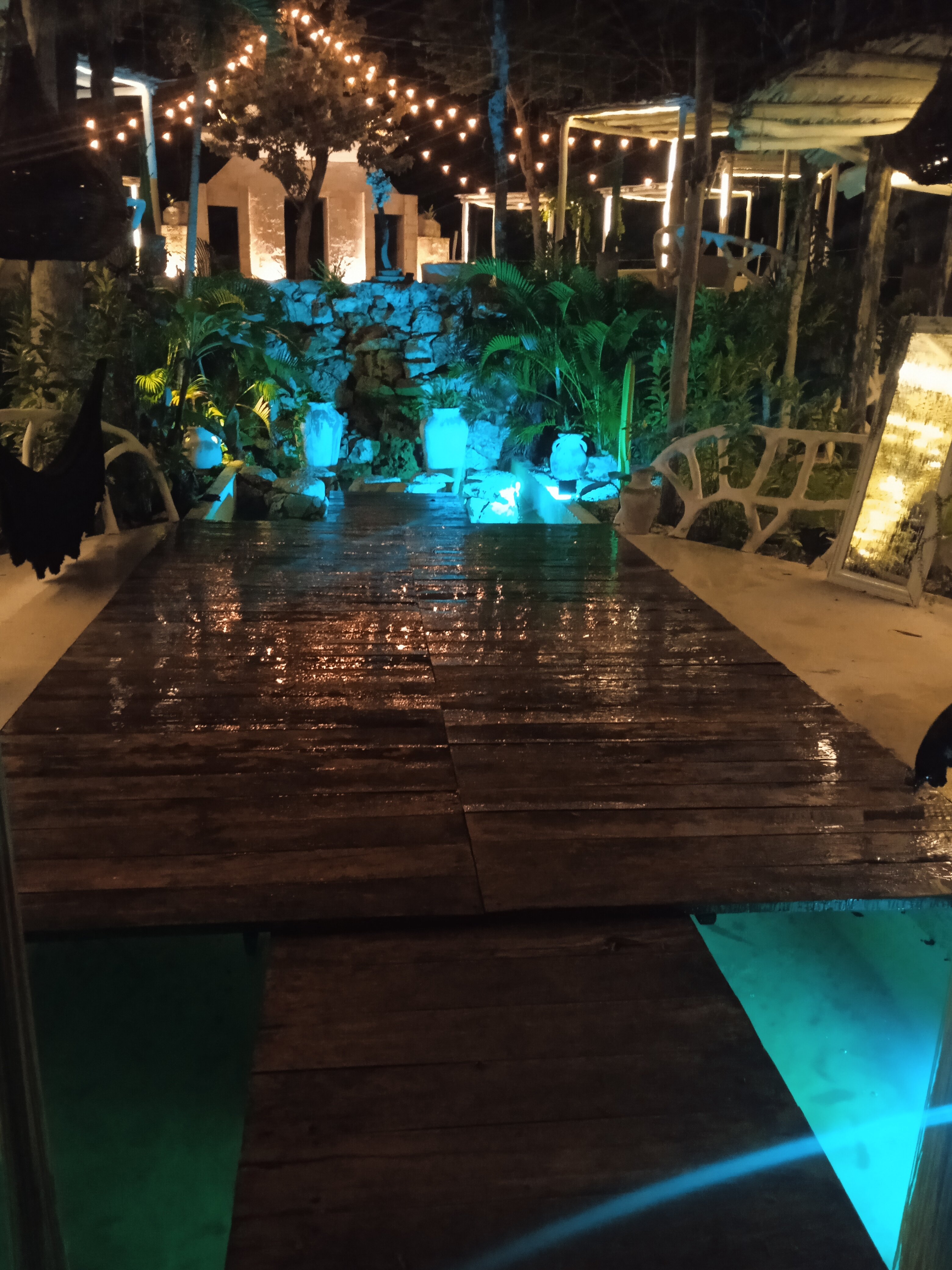 The Yellow Nest-官方