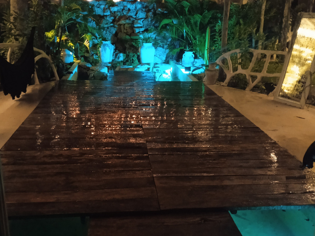 The Yellow Nest主图