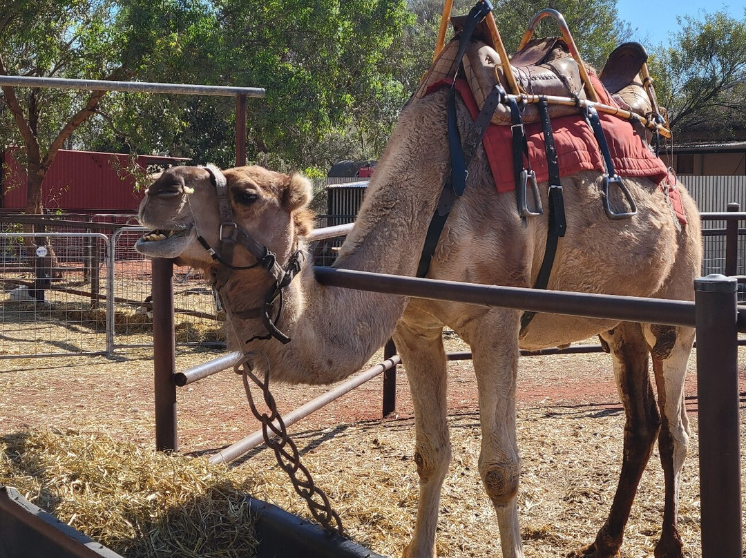 内陆先锋酒店主图