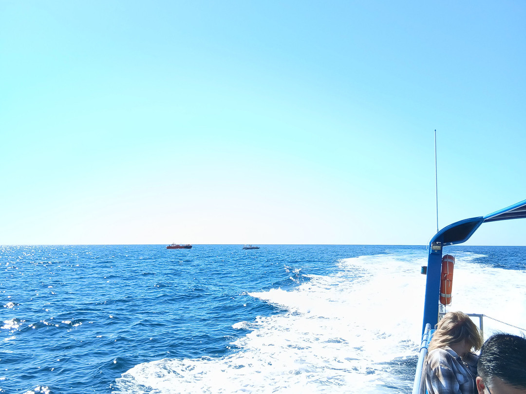 MTS Globe Portugal-法罗必去景点