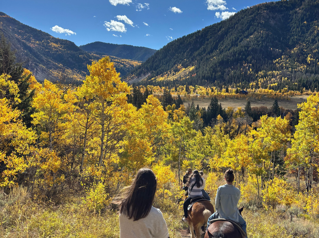 North Forty Escapes-Oakley必去景点