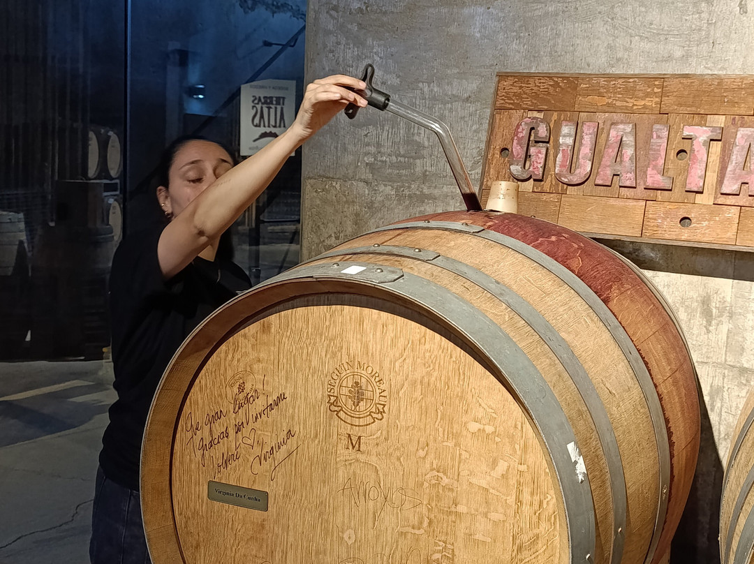 Bodega Tierras Altas-路冉得库约必去景点