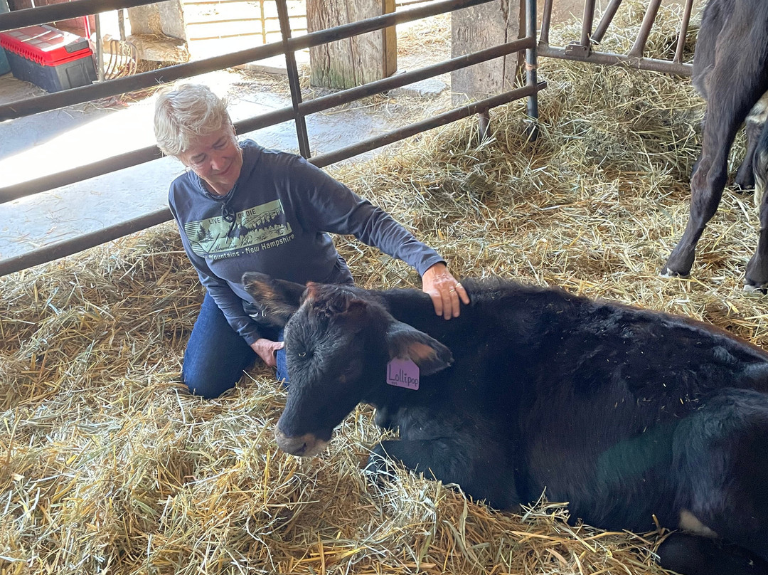 Sunset View Creamery-Odessa必去景点