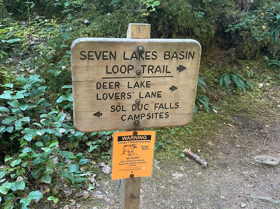 Lovers Lane trail-安吉利斯港必去景点