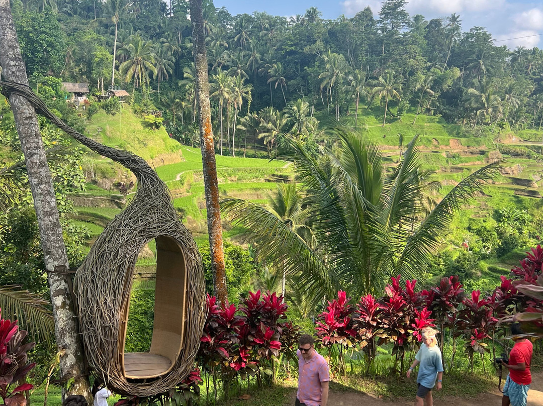 Paniek Bali Driver-Banjarangkan必去景点