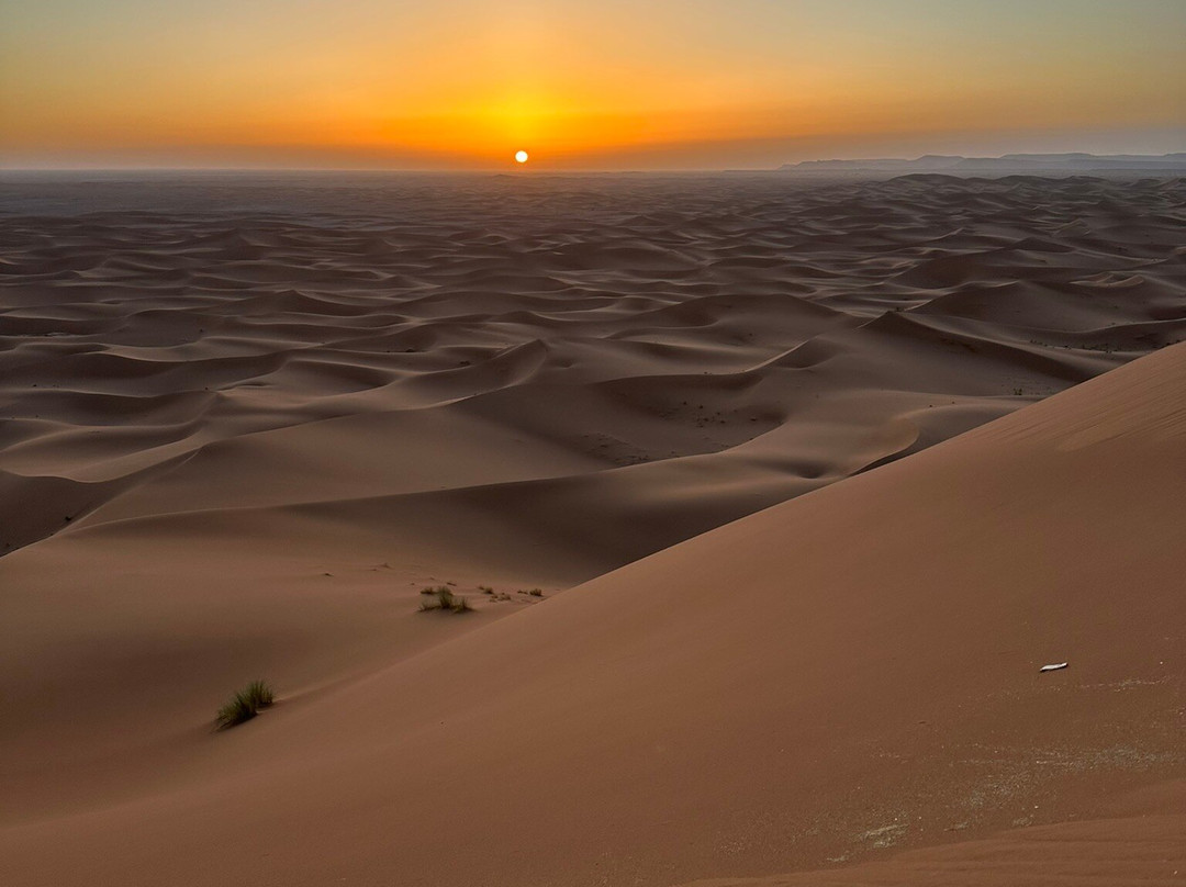 Adventures Desert-迈哈米德必去景点