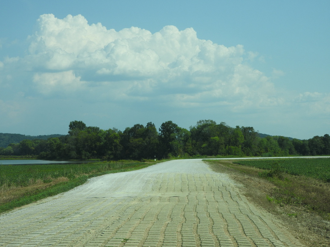 Tennessee National Wildlife Refuge-Springville必去景点