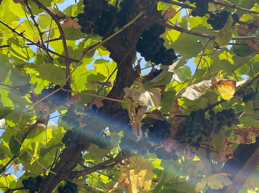 Santa Clara Aqueduct-孔迪镇必去景点