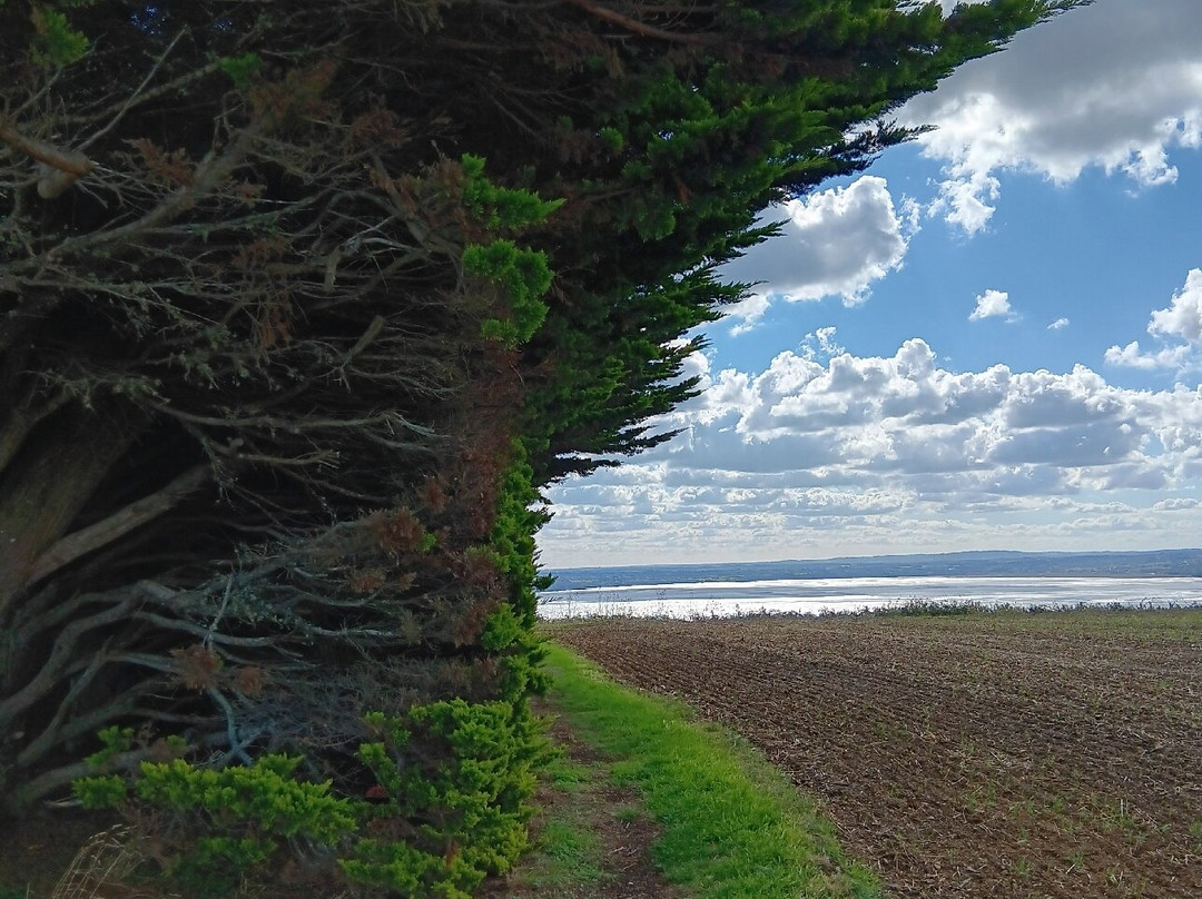 Pointe du Roselier-Plerin必去景点