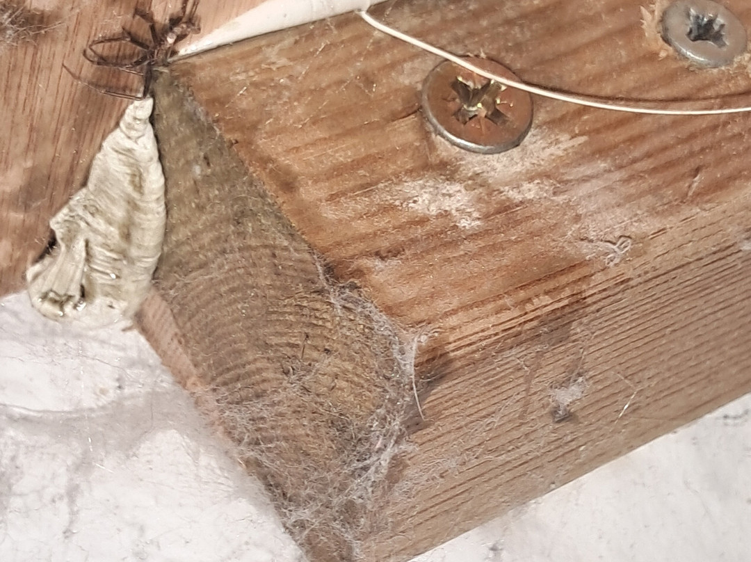 Squirrel Inn at Hurtmore主图