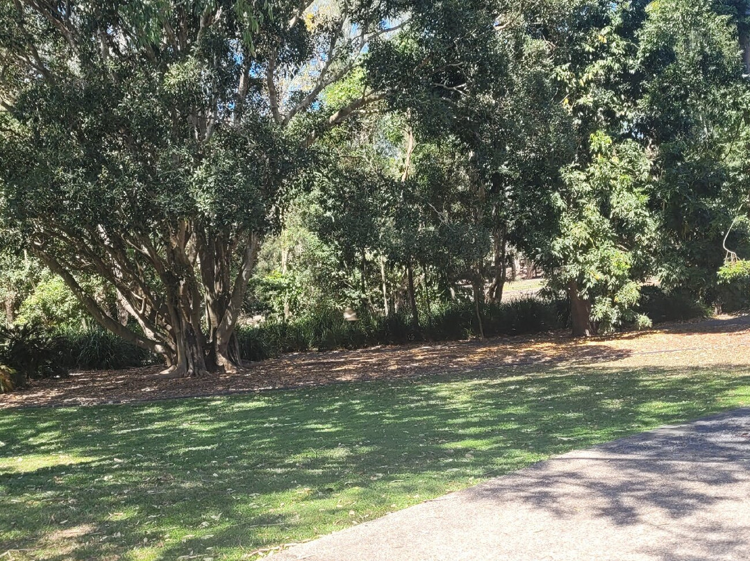 Australian Sugar Cane Railway-邦德堡必去景点
