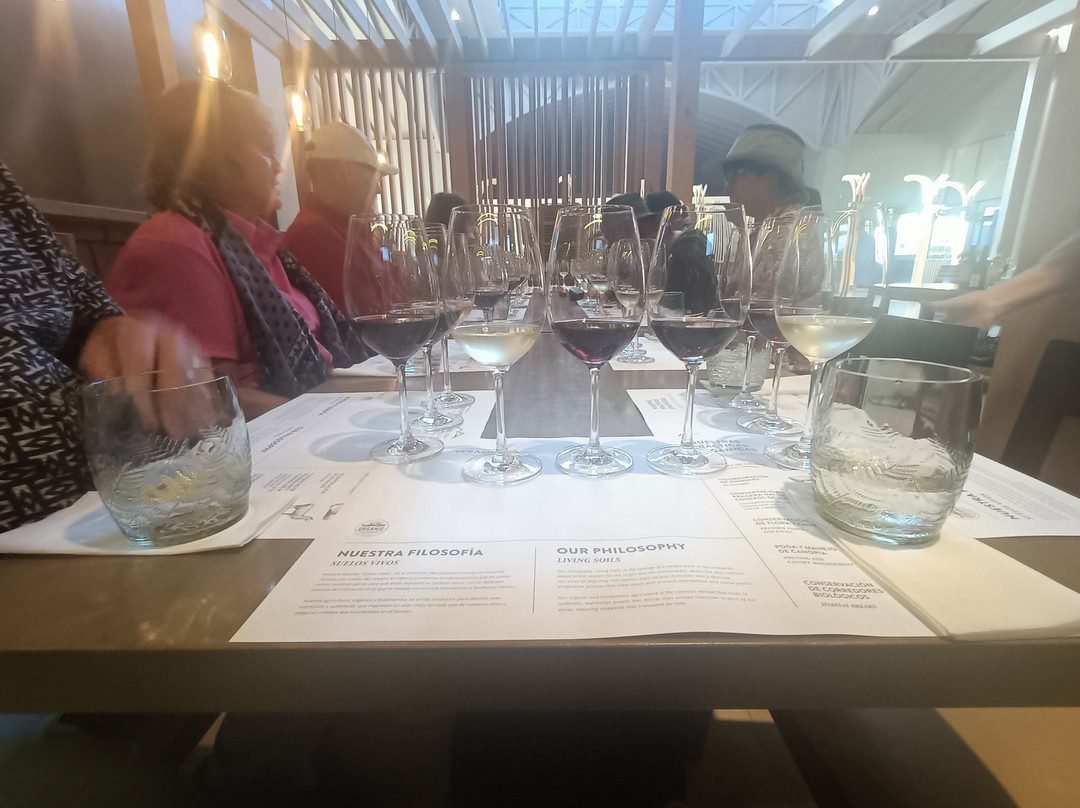 Viñedos Veramonte-卡萨布兰卡必去景点