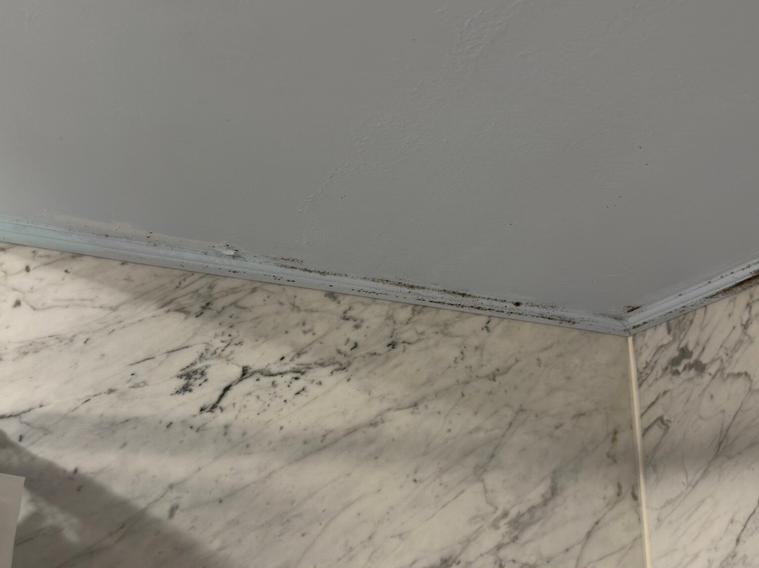 Omni Bretton Arms Inn At Mount Washington主图