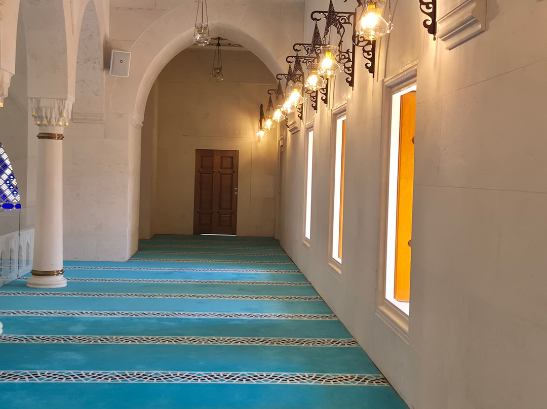 Great mosque of Tirana-地拉那必去景点