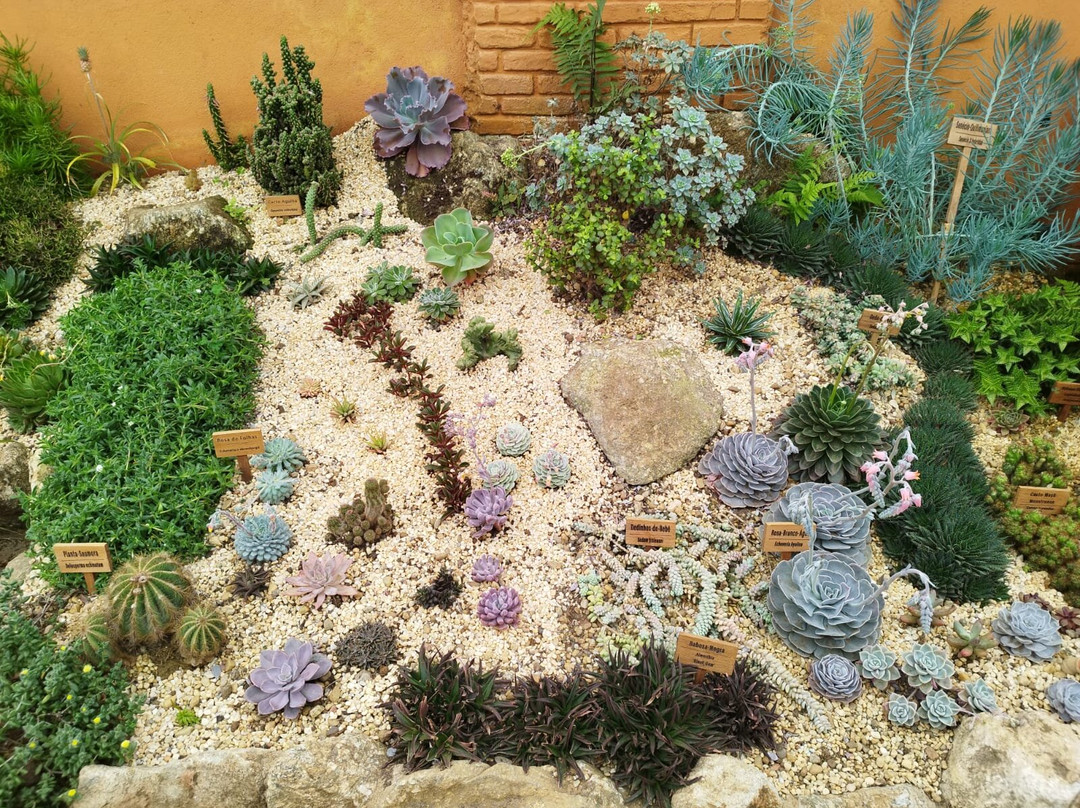 Tour Mantiqueira-Santo Antonio do Pinhal必去景点