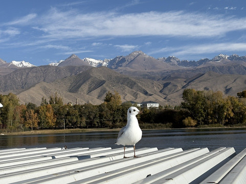 Ventura Tours Central Asia-比斯凯克必去景点