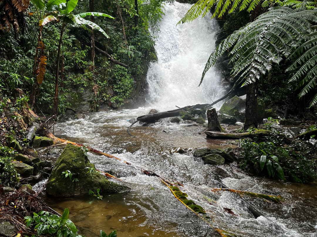 Half Day of Hmong Cultural Experience at Khunklang Doi Inthanon-宗通必去景点