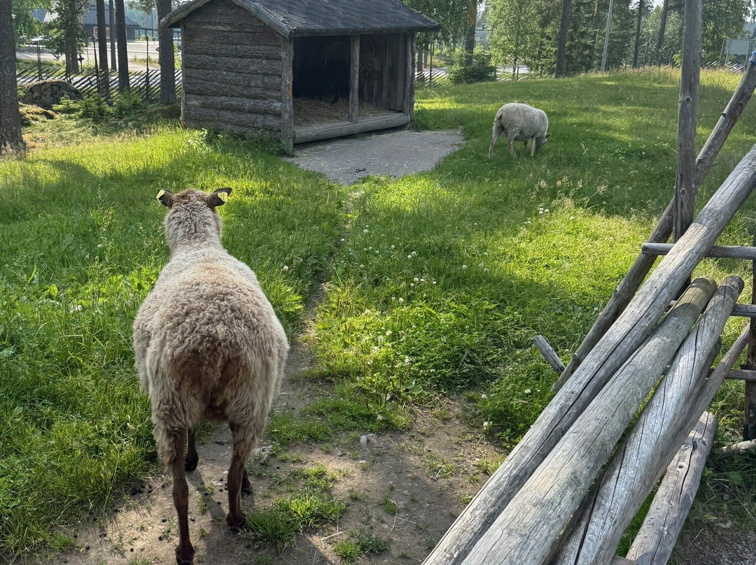Ahtari Zoo-Ähtäri必去景点