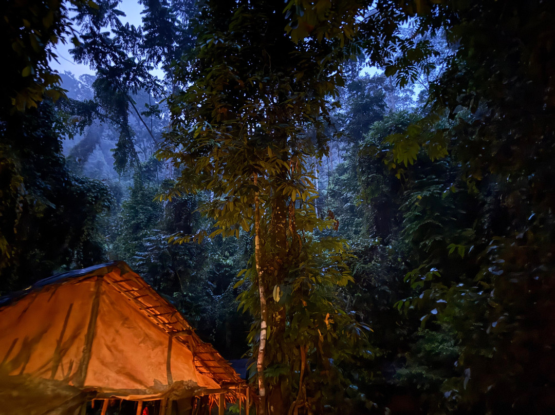 Bukit Lawang Jungle Trekking-武吉拉旺必去景点