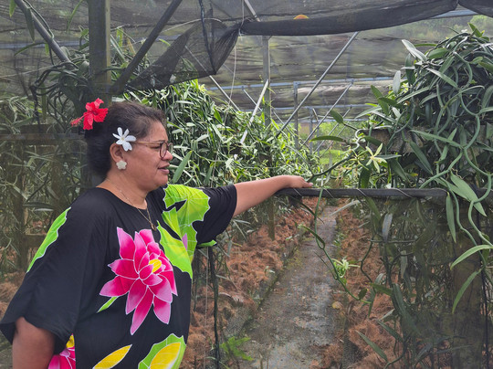 Vanilla Prod's Shop-塔哈岛必去景点