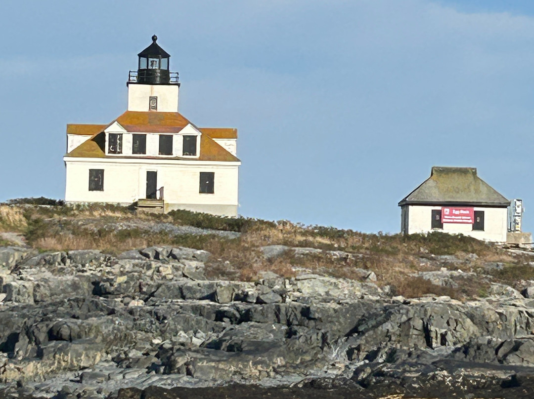 Acadian Boat Tours-巴港必去景点