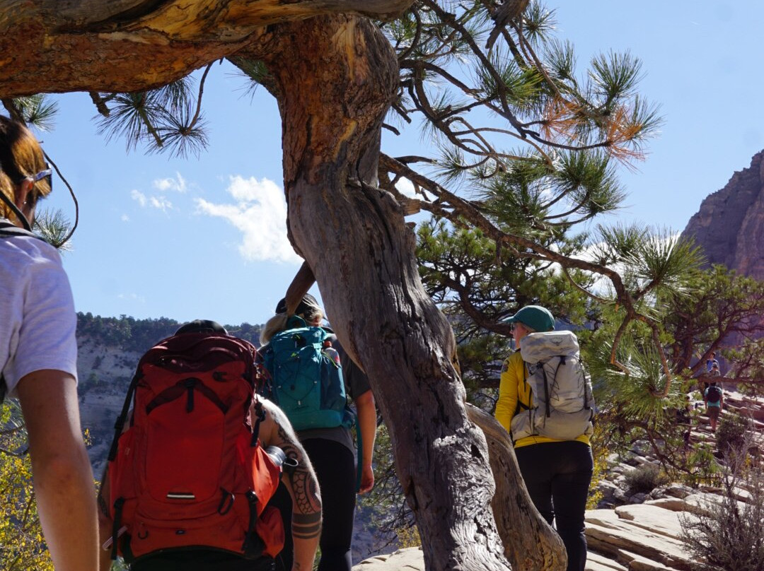 Zion Guide Hub-斯普林代尔必去景点