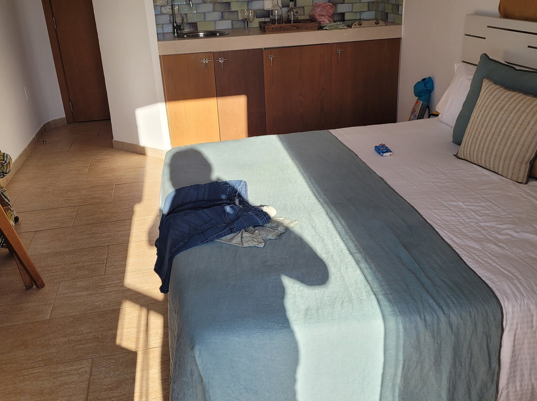Castavi Apartments主图