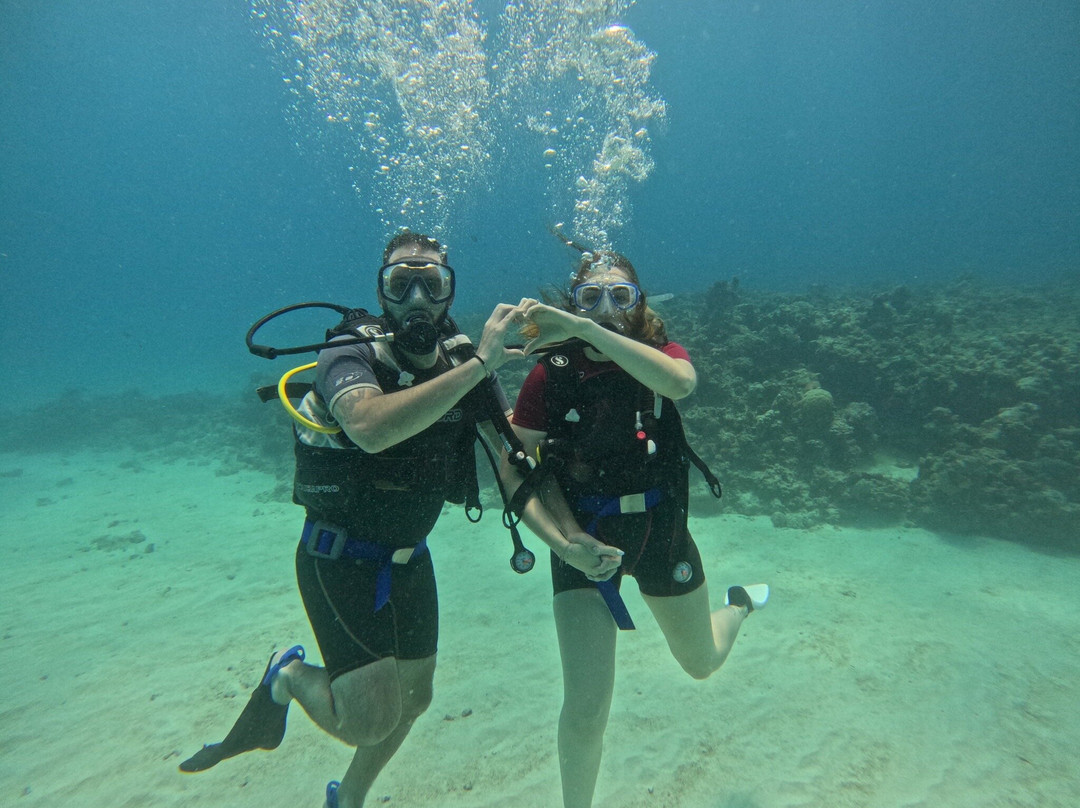 Seaman Diving-大湾必去景点