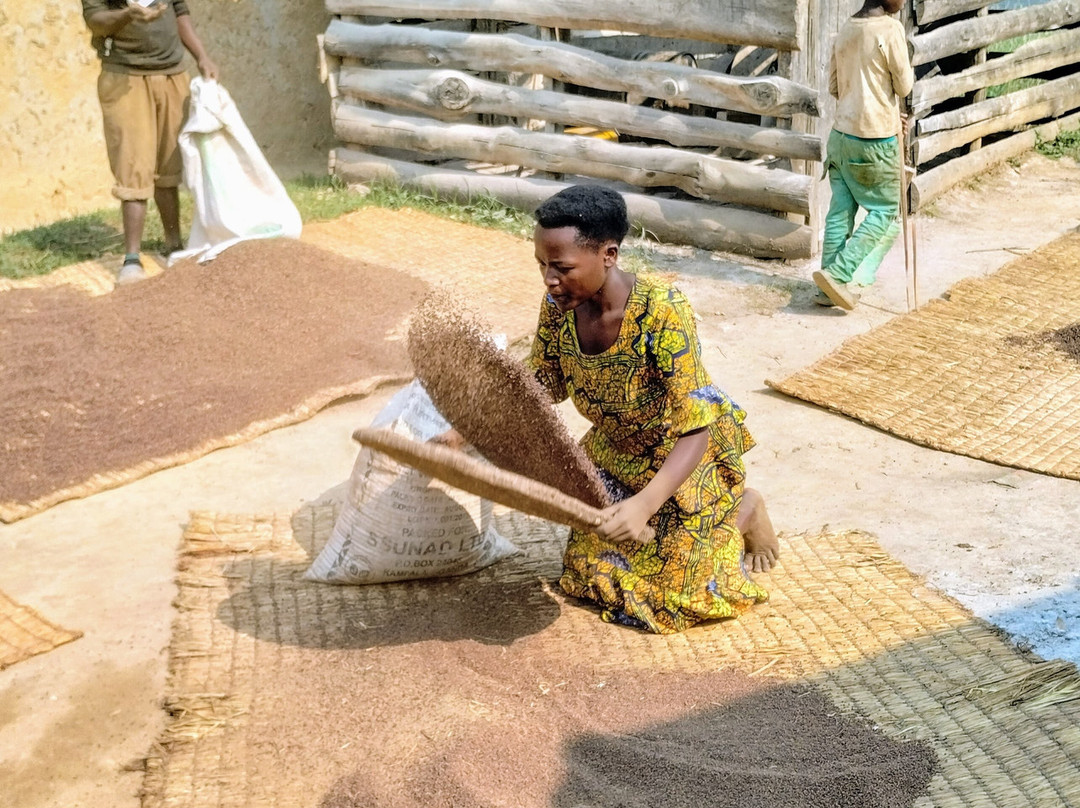 Rock My Adventure-内罗毕必去景点