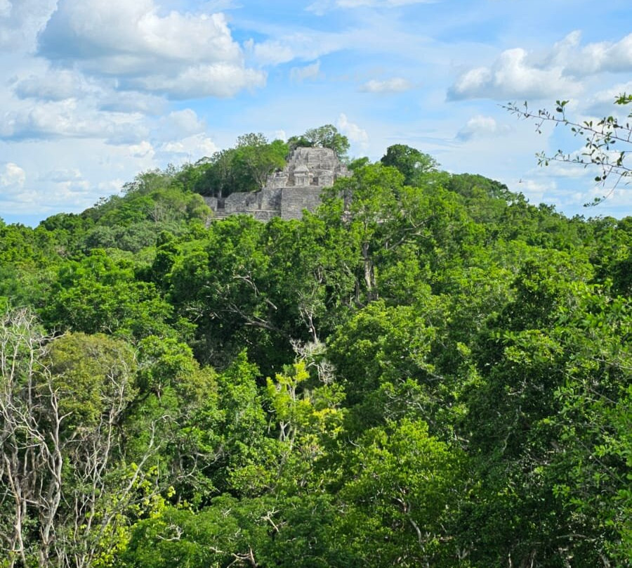 Visit Calakmul-Xpujil Town必去景点