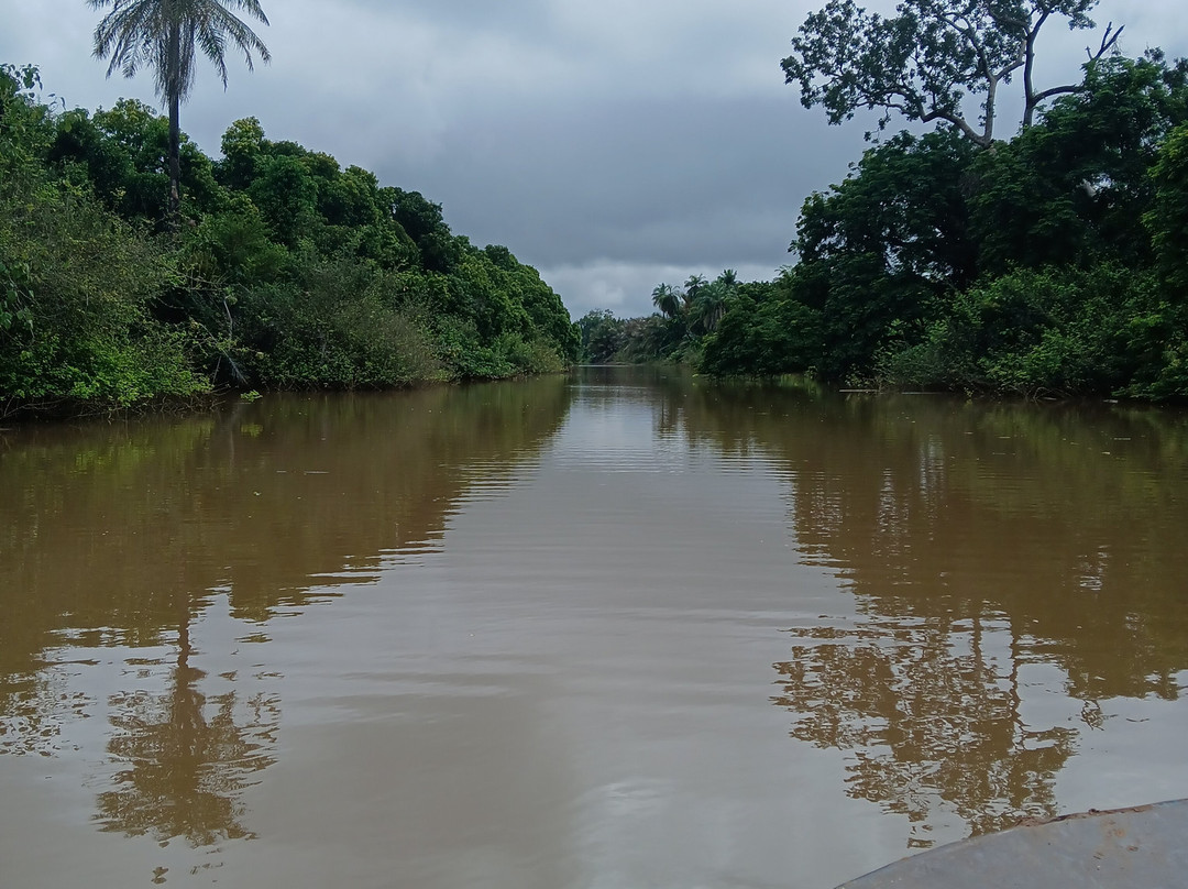 Gambian Bird Guide Ansuman Drammeh -  Best Boy Tours-塞瑞库达必去景点