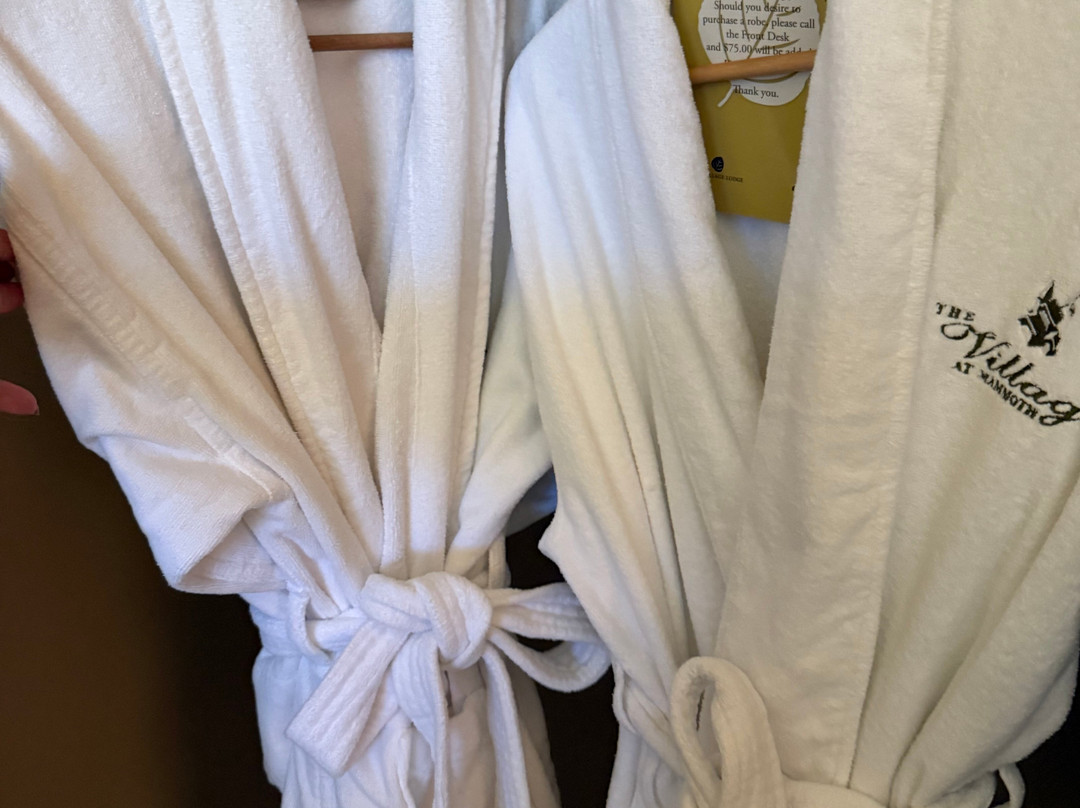 村庄小屋酒店主图