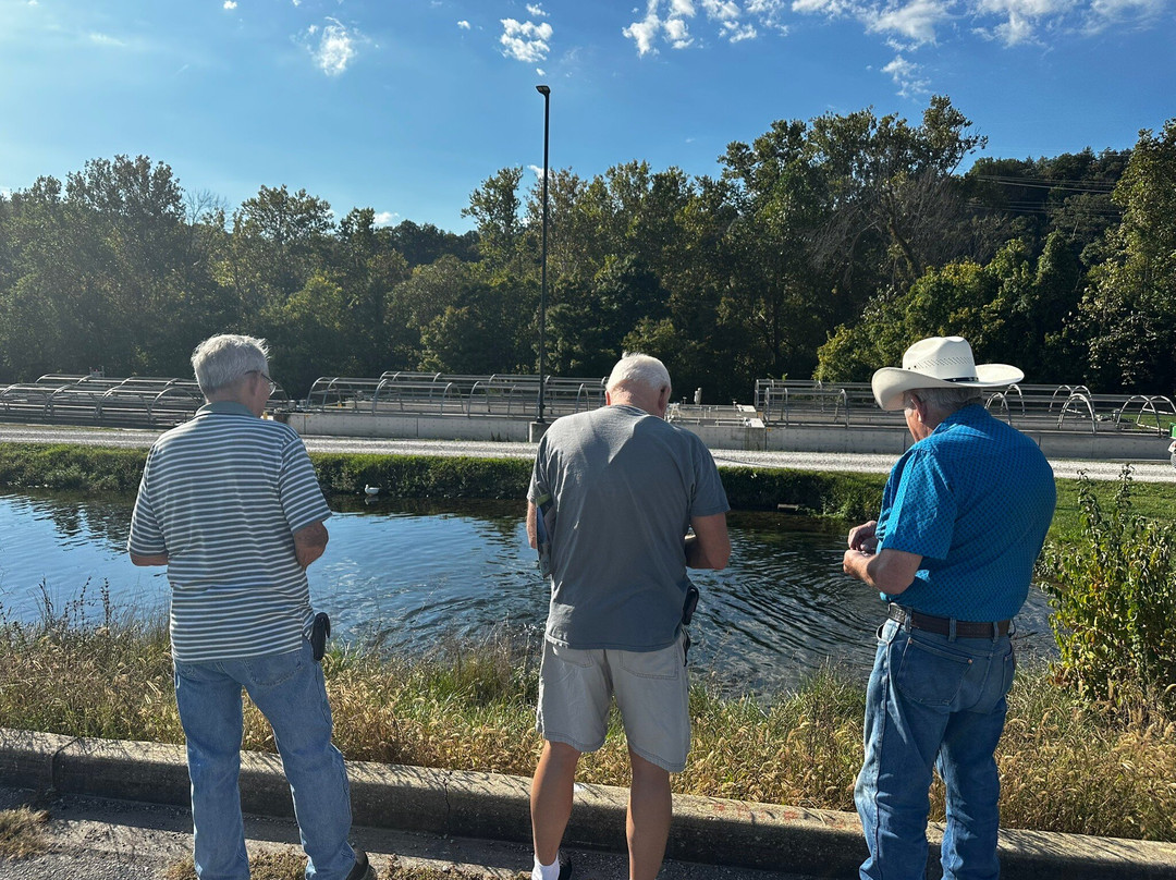 Shepherd of the Hills Fish Hatchery-布兰森必去景点